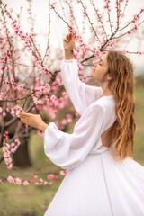 Woman peach blossom. Happy curly woman in white dress walking in the garden of blossoming peach trees in spring