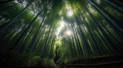 A zen bamboo forest, the towering green stalks creating a calming canopy overhead, with sunlight filtering through . Generative AI