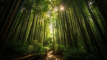 A zen bamboo forest, the towering green stalks creating a calming canopy overhead, with sunlight filtering through . Generative AI