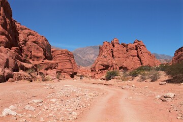Fototapeta na wymiar red rock canyon in the north of Argentina 
