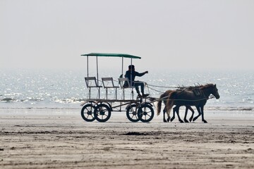 Horse chariot at the beach