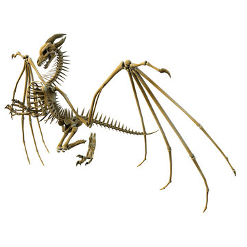 3d render dragon bones fantasy creature