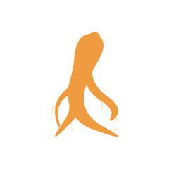 Ginseng. Vector illustration EPS10. Ginseng root and leaf on white background