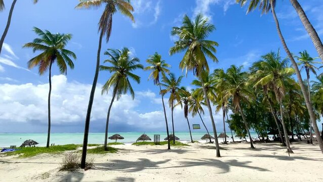 Palmenstrand am Meer