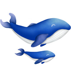 Whale mom