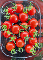Bowl of ripe cherry tomatoes