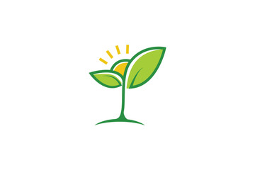 plant and shine logo design concept