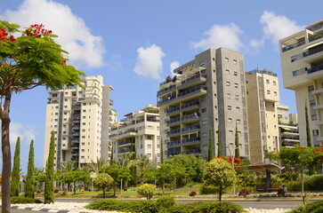 Naklejka premium Modern residential area. Flowering trees near the new building. Luxury real estate. Investment in an apartment. Comfortable balconies and blooming Royal poinciana