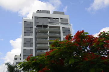 New buildings in Israel Concept: modern real estate. Multi-storey buildings and flowering trees. New buildings. Houses for families in Israel