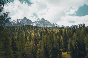 Two snowy mountain peaks sticking out behind a green forest with a cloudy sky above