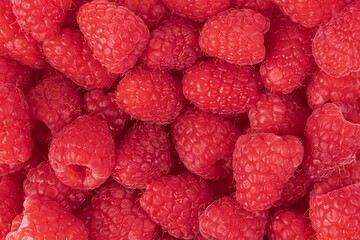 Raspberries. Fresh juicy raspberries bright background. Close-up.