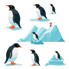 Naklejka premium Penguin near ocean set vector flat minimalistic isolated illustration