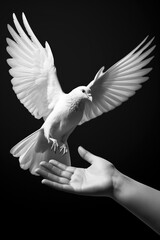 A white dove flies up to a human hand, black background. Generative AI