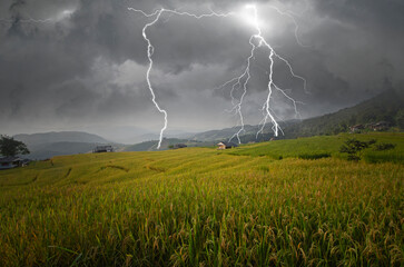 Strong lightning of storm on rice field on the hill in monsoon season