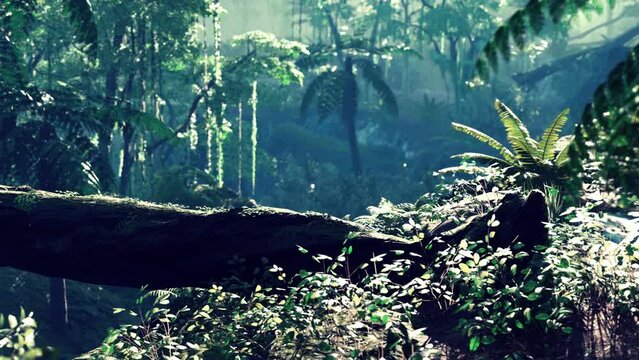 tropical jungles of South East Asia