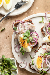 Smorrebrod sandwiches with herring fillet, rye bread, cream cheese, boiled egg slices, onion rings and microgreens on white dish close up top view