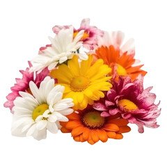 Beautiful colorful daisies. Daisies isolated on transparent background. Generative AI.