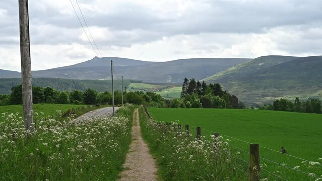 Straight path next to green meadow with Scottish hills in the distance
