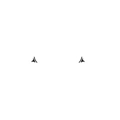 hand drawn simple title line
