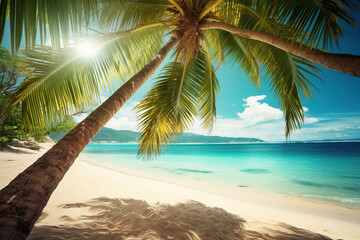 Obraz na płótnie Canvas coconut tree on the beach
