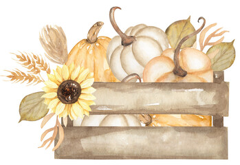 Watercolor hand drawn wooden box with pumpkins and sunflower bouquet illustration, fall garden decor clipart, autumn harvest clip art - 614401513
