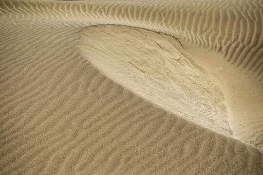 abstract crescent moon and wave patterns in beach sand dunes.