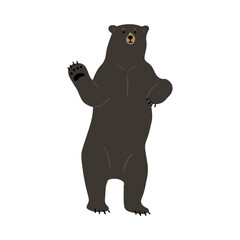 American Black Bear Single 22, vector illustration