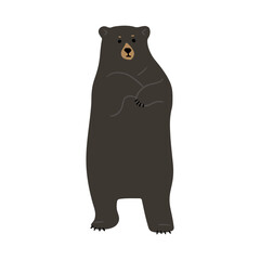 American Black Bear Single 25, vector illustration