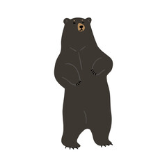 American Black Bear Single 24 , vector illustration