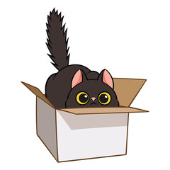 Cat in cardboard box