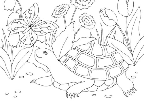 Turtle coloring graphic black white landscape sketch illustration vector