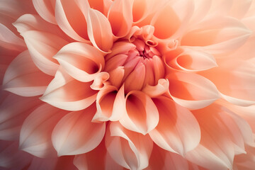 flower bud close-up, natural background