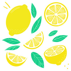 Lemon vector clip art set, flat illustration, citrus fruit