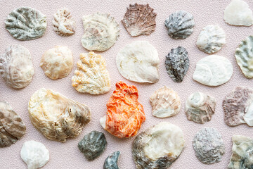 Seashells and corals set. Marine pattern.