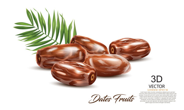 vector illustration date fruits with palm leaves on the white background,use for date fruits label banner and ad design.