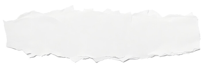 white torn cardboard paper isolated on white background, Copy space for shopping online background