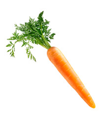 Single carrot with green leaves isolated on white. Vegetable, cooking ingredient.