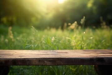 Wooden bench in front of a green meadow