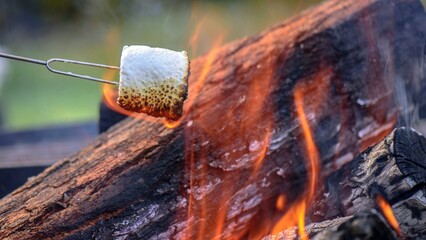 Toasty Delights: Close-up View of Marshmallows Roasting to Perfection by the Campfire's Warm Embrace