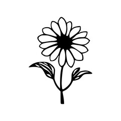 Sunflower flower black line vector illustration