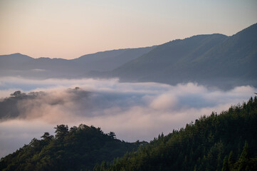 雲海