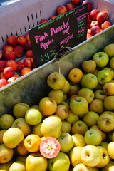 Pink Punch apples with pink flesh at a farmers market