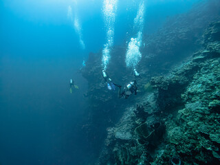 Fototapeta na wymiar Underwater Sulawesi Togean