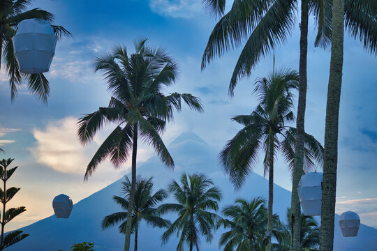 mayon volcano and palm trees in the sky