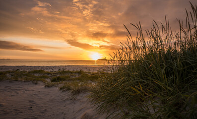 Beautiful view on Ramberg beach during sunse. Wild grasses are groing in the foreground of the...