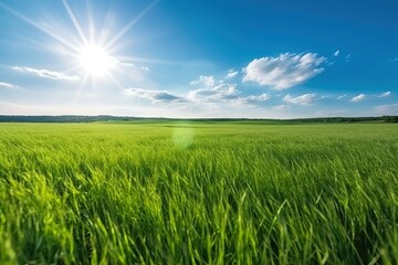 Panoramic natural landscape of a green field (Ai generated)