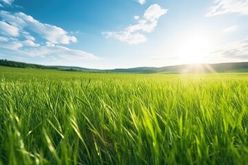 Fototapeta na wymiar Panoramic natural landscape of a green field (Ai generated)