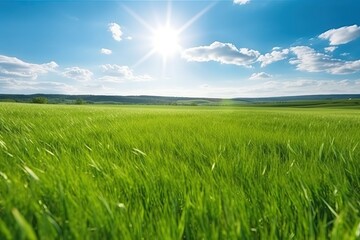 Obraz na płótnie Canvas Panoramic natural landscape of a green field (Ai generated)