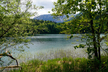 Fototapeta na wymiar transparent emerald-green waters of lake Alatsee in Fuessen with the Bavarian Alps reflected in the green water and the lush green spring forest in the background, Bavaria, Germany 