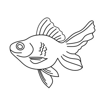 decorative fish graphic illustration, hand-drawn freshwater fish, eat right. Sketch, minimalism, line art.